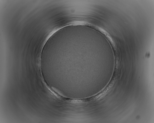 X0000097911473200803281351