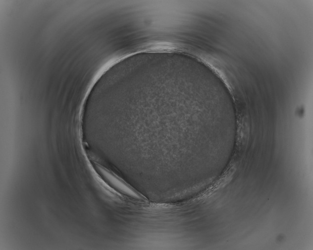 X0000097911475200803281351