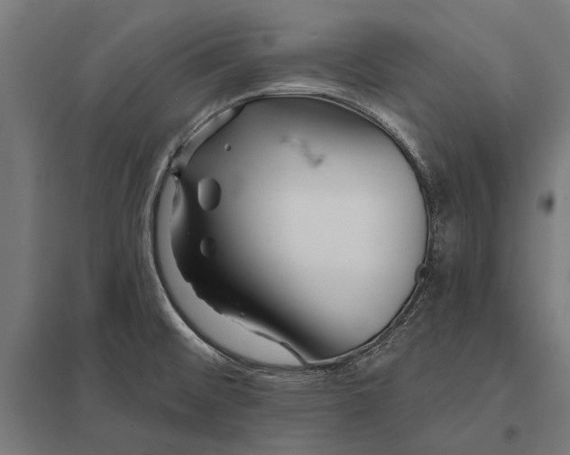 X0000097911476200803281351