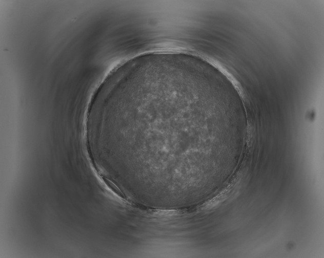 X0000097911477200803281351