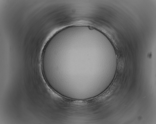 X0000097911478200803281351