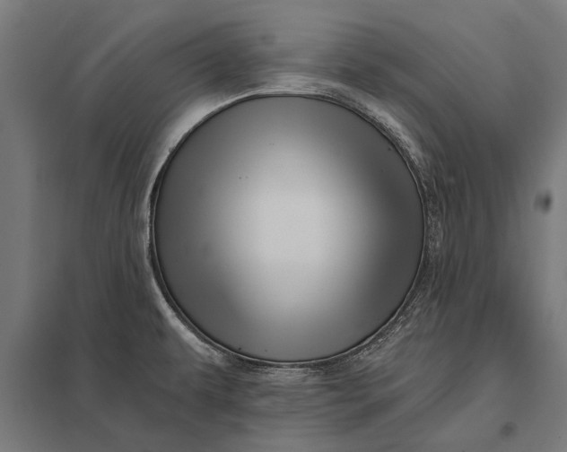 X0000097911479200803281351