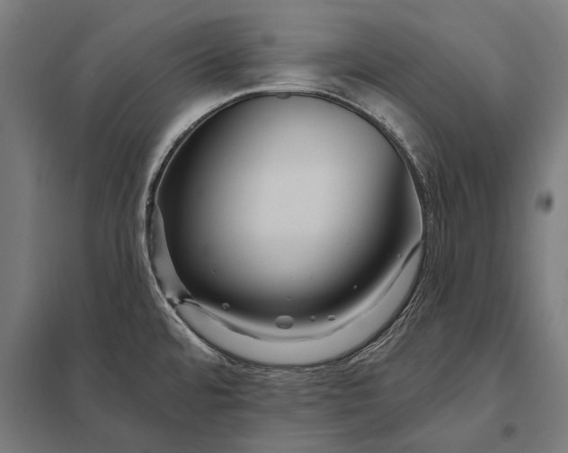 X0000097911480200803281351