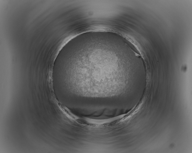 X0000097911481200803281351