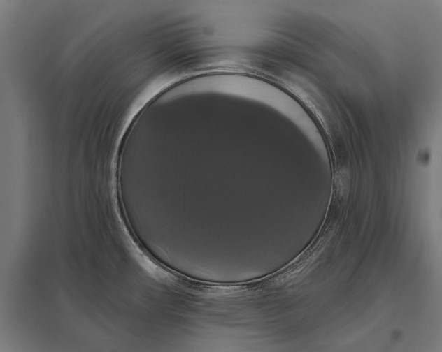 X0000097911482200803281351