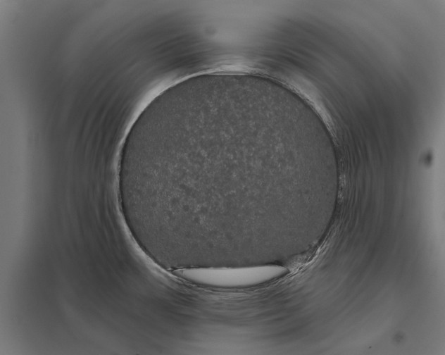 X0000097911483200803281351