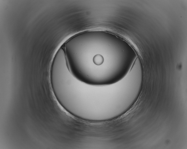 X0000097911484200803281351