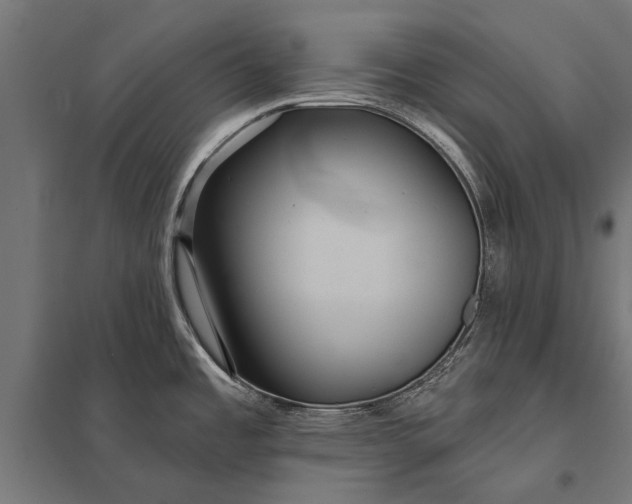 X0000097911485200803281351