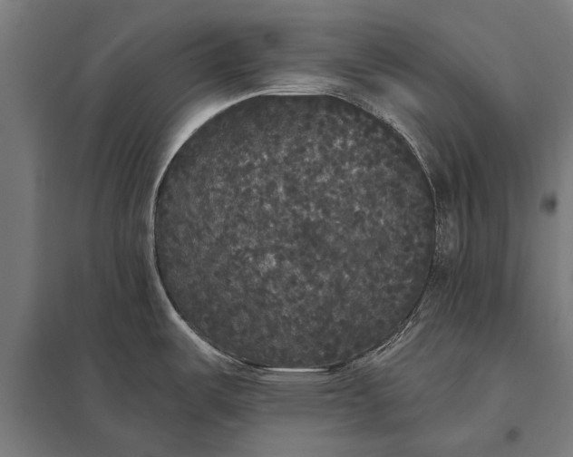 X0000097911487200803281351