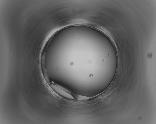 X0000097911488200803281350