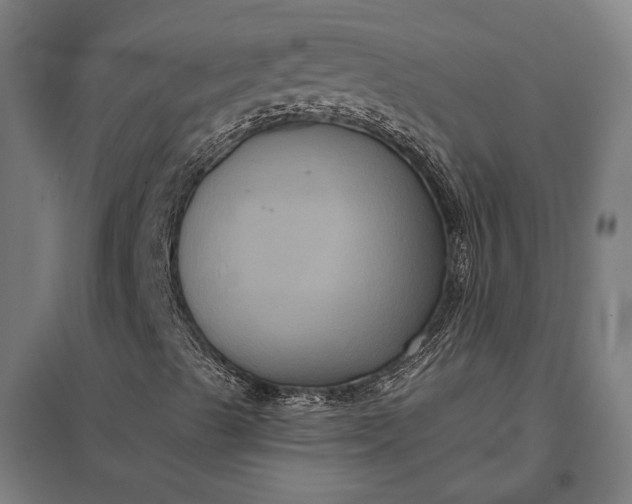 X0000097911489200803281350