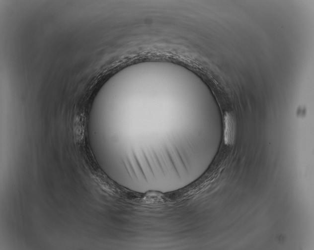 X0000097911491200803281350