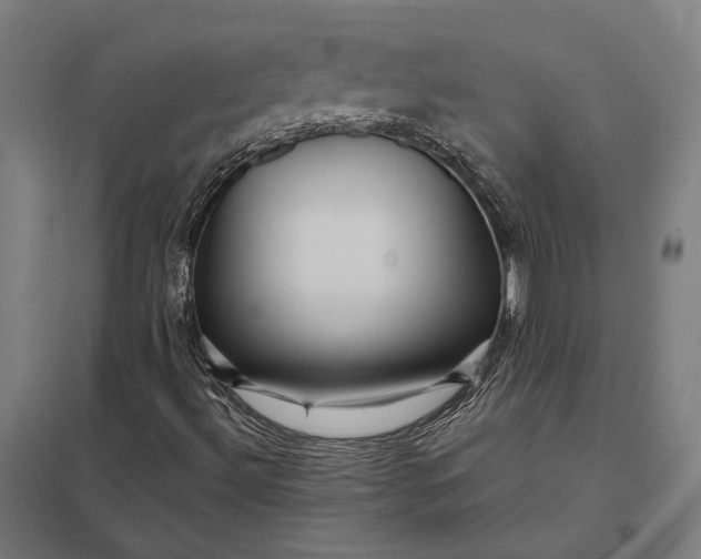 X0000097911492200803281350