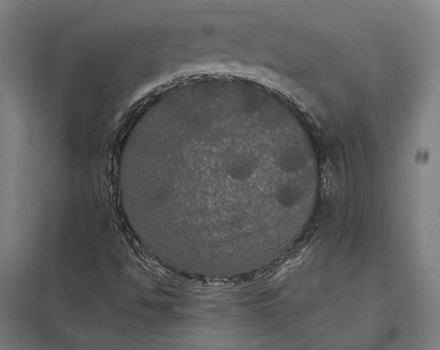 X0000097911494200803281350