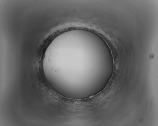 X0000097911495200803281350