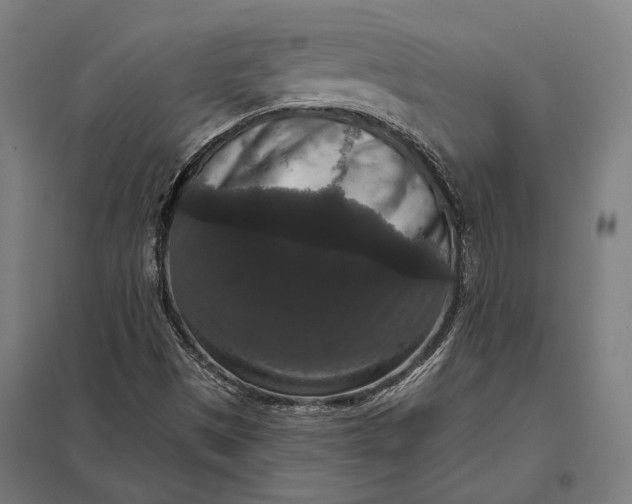 X0000097911497200803281350