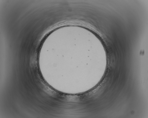 X0000097911498200803281350