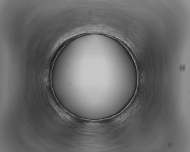 X0000097911499200803281350