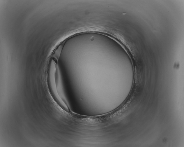 X0000097911500200803281350