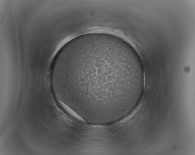 X0000097911501200803281350