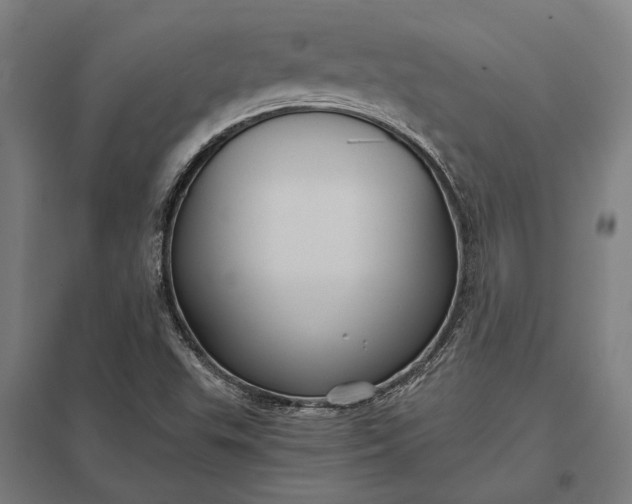 X0000097911503200803281350