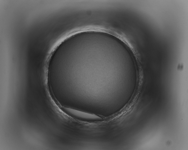 X0000097911504200803281350