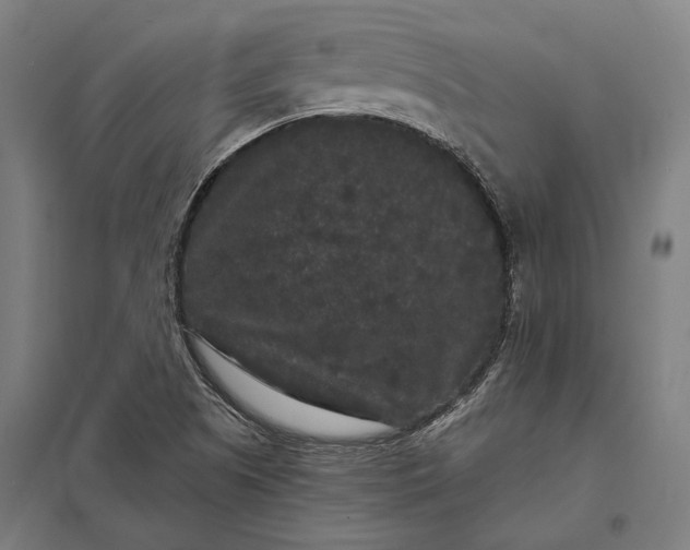 X0000097911505200803281350