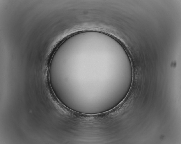 X0000097911507200803281350