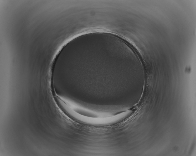 X0000097911508200803281350