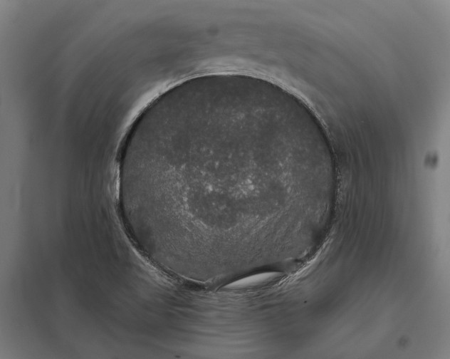 X0000097911509200803281350