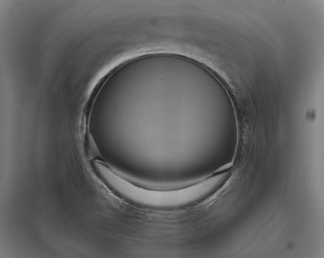 X0000097911510200803281350