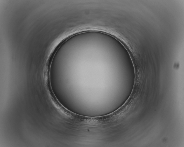 X0000097911511200803281350