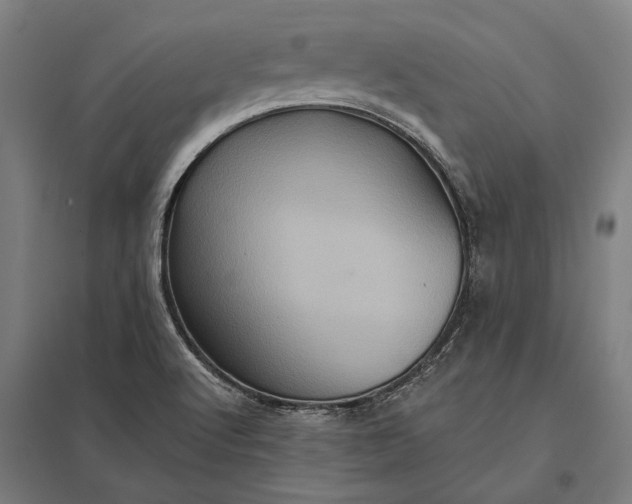 X0000097911512200803281350