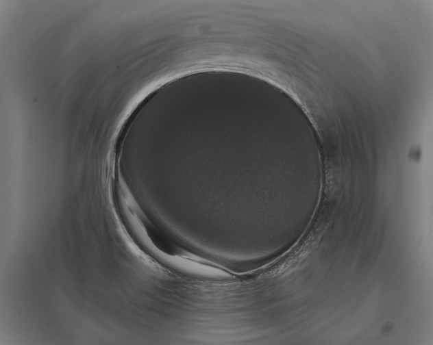 X0000097911515200803281350