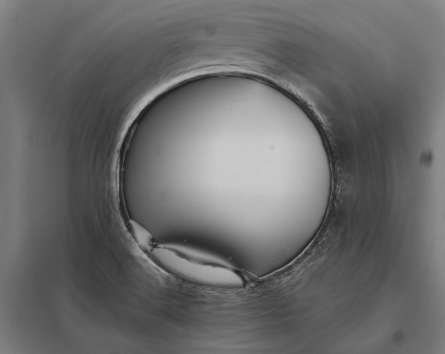 X0000097911516200803281350