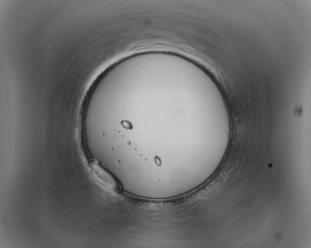 X0000097911518200803281350