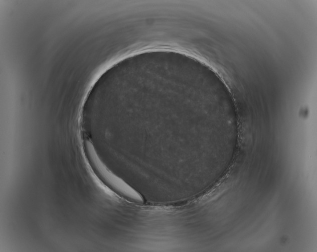 X0000097911519200803281350