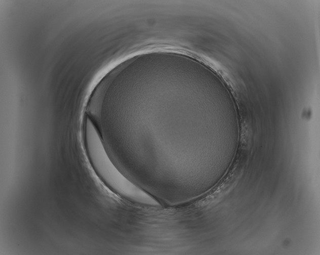 X0000097911520200803281350