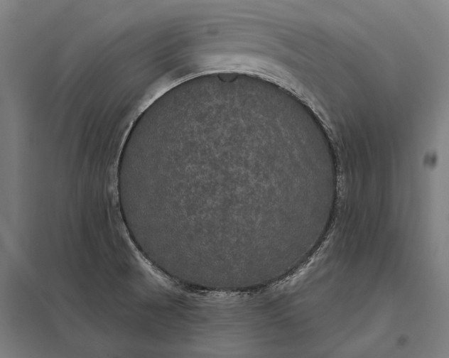 X0000097911521200803281350