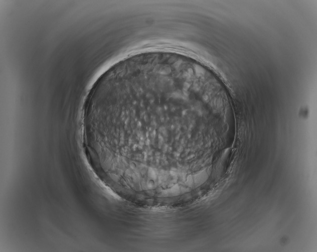 X0000097911522200803281350