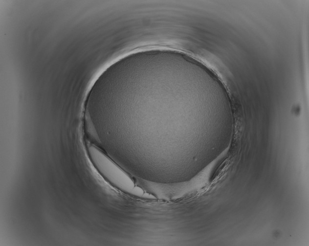 X0000097911524200803281350