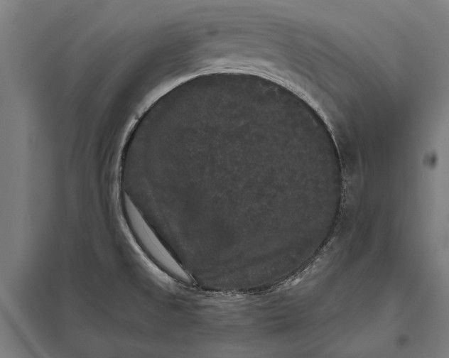 X0000097911525200803281350