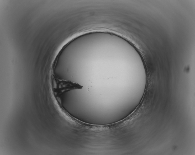 X0000097911526200803281350