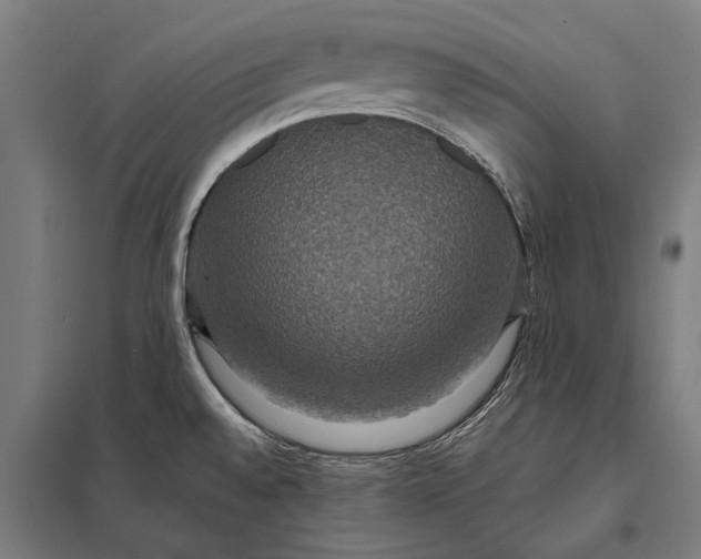 X0000097911528200803281350