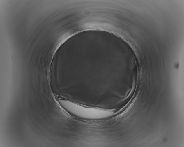 X0000097911529200803281350