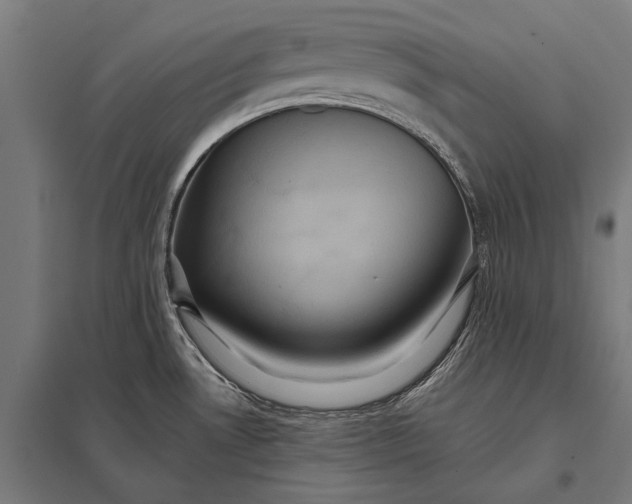 X0000097911530200803281350