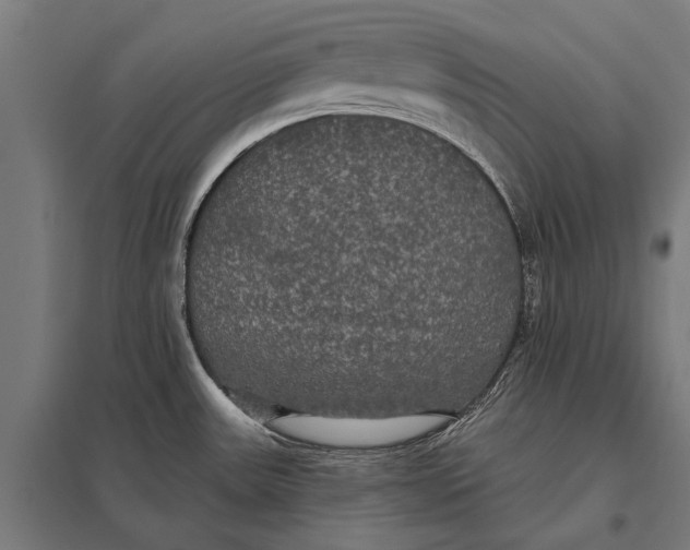 X0000097911531200803281350