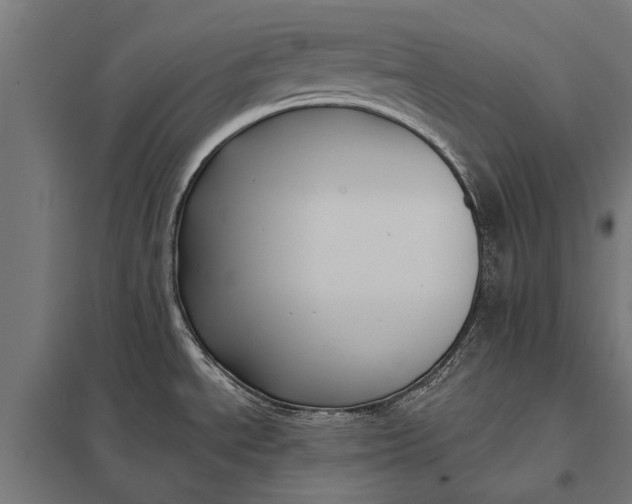 X0000097911534200803281350