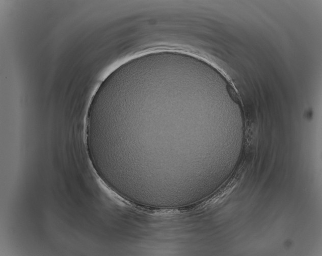 X0000097911535200803281350