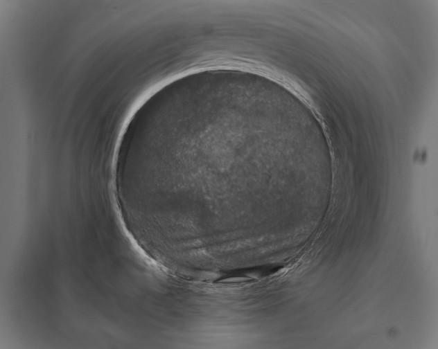 X0000097911536200803281350